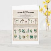 Carte Un Poster vintage de table de poisons végétaux (Fleur jaune)