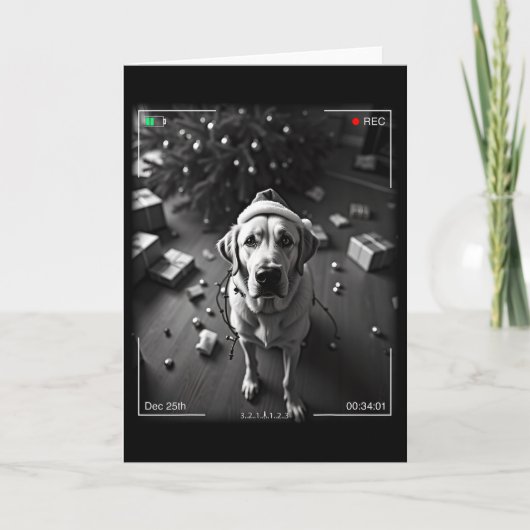 Carte Un Retriever Du Labrador De Noël Capturé À L'Appar (Devant)