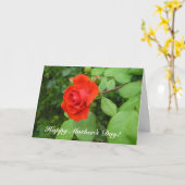 Carte Un rose, Bonne Fête des Mères ! (Fleur jaune)