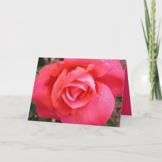 Carte Un rose en fleur