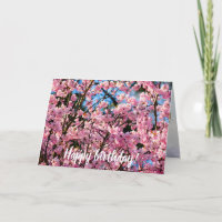 Un Sakura Arbre À Reprendre En Fleur Rose Du Print