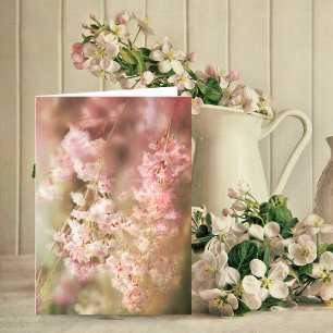 Carte Un Saule Pleureur Rose Flou Vierge