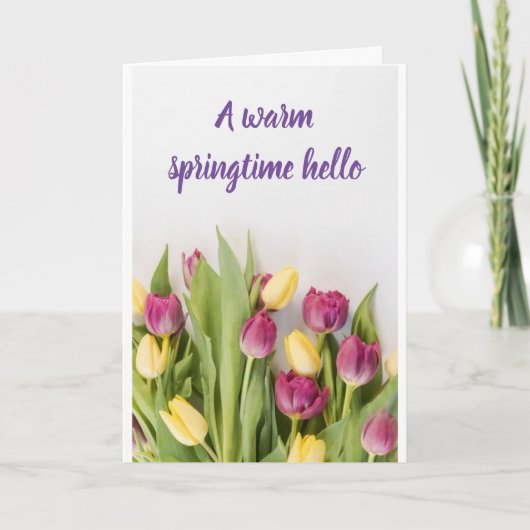 CARTE **UN SPRINGTIME/EASTER CHAUD HELLO** (Devant)