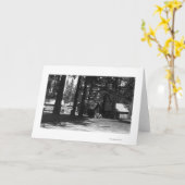 Carte Un terrain de camping (Fleur jaune)