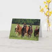 Carte Un troupeau de poneys gallois debout dans le champ (Fleur jaune)