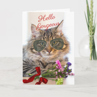Carte Un véritable anniversaire avec un magnifique chat