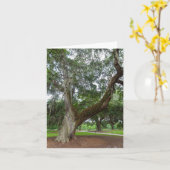 Carte Un Vieux Chêne (Fleur jaune)