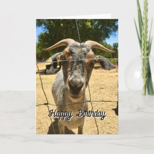 Carte Un vœu d'anniversaire pour une chèvre