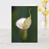 Carte Une dame dans le blanc (Fleur jaune)