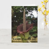 Carte Une fleur de cadavre pour vous. (Fleur jaune)