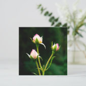 Carte Une fleur de rosebud (Debout devant)