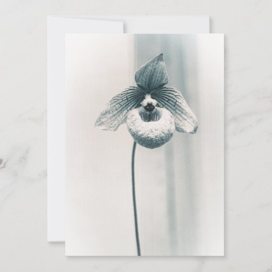Carte Une fleur d'orchidée (Devant)