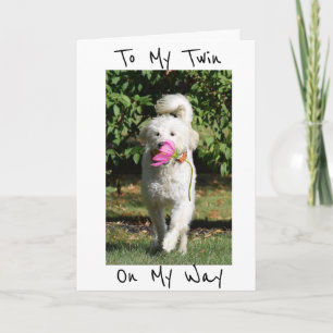 CARTE UNE FLEURS ET UN ANNIVERSAIRE SOUHAITEZ À MON ***T