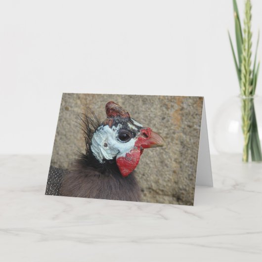 Carte Une Guinée (Devant)