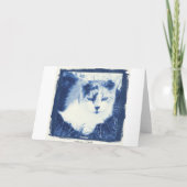 Carte Une journée bleue ? (Dos)