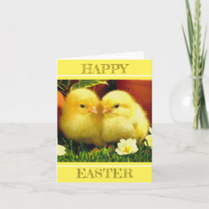Carte Une paire de poussins au printemps