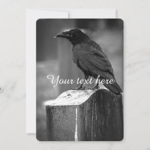 Carte Une plumes trouvée