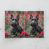 Carte "Une rose rouge pour le Terrier écossais noir" (Intérieur)