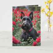 Carte "Une rose rouge pour le Terrier écossais noir" (Fleur jaune)