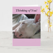 Carte Une sieste dans le soleil-penser de vous (Fleur jaune)