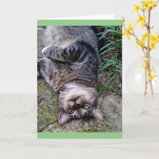 Carte Unité Funny Cat TENS (Fleur jaune)