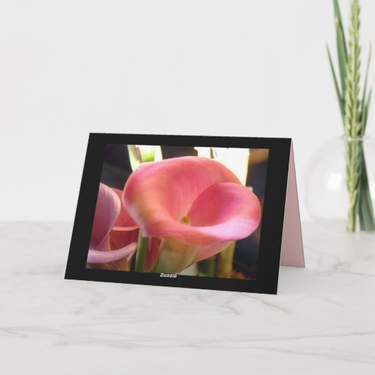 Carte Untitled-1.pddfghh (Dos)