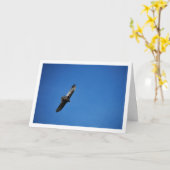 Carte Urubu à Tête Rouge dans le Ciel Bleu (Fleur jaune)