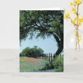 Carte USA, Texas, Texas Hill Country Paintbrush et (Fleur jaune)