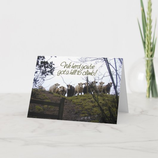 Carte Va-t'en bientôt. Vaches. (Devant)