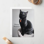 Carte vacances Cat (Devant/Arrière en situation)