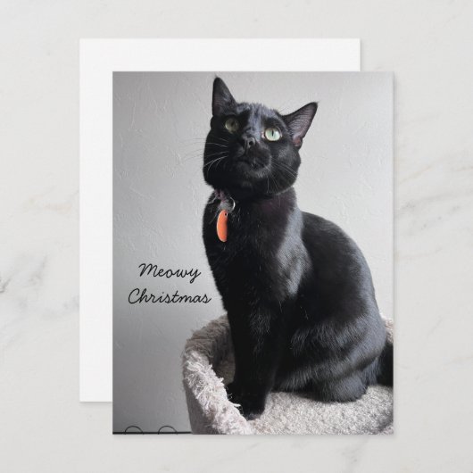 Carte vacances Cat (Devant / Derrière)