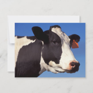 Carte Vache