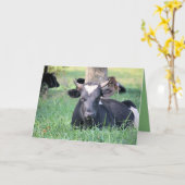 Carte Vache (Fleur jaune)
