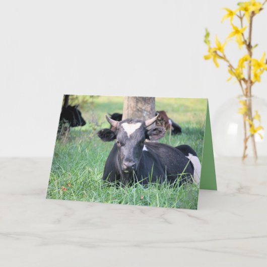 Carte Vache (Fleur jaune)