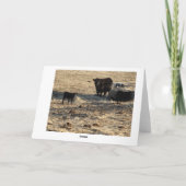 Carte Vache avec veau (Dos)