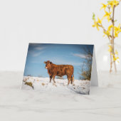 Carte Vache Brown dans un champ couvert de neige (Fleur jaune)