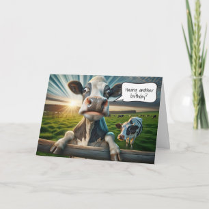 Carte Vache d'anniversaire sur une clôture