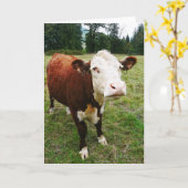 Carte Vache de boeuf à facettes blanches (Fleur jaune)