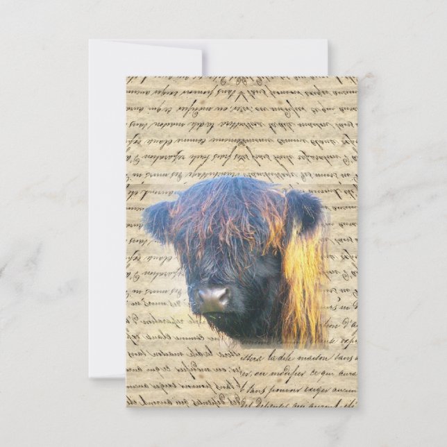 Carte Vache de Highland (Devant)