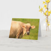 Carte Vache Douce Et Soignante Se Portent Bien (Fleur jaune)