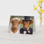 Carte Vache écossaise mariée et marié (Fleur jaune)