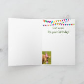 Carte Vache Ennuyée À Un Anniversaire De La Diète (Intérieur)