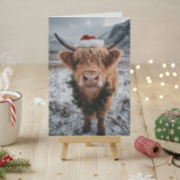Vache Highland de Noël