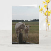 Carte Vache mère et bébé. (Fleur jaune)