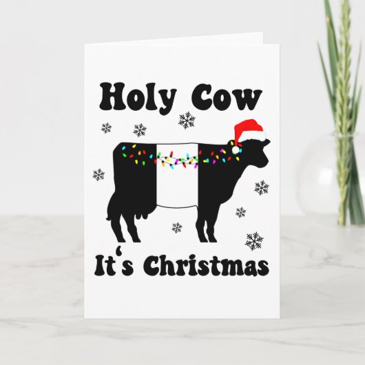 Carte Vache Sainte C'est Noël Ceinture Galloway Beltie V (Devant)