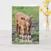 CARTE VACHES (Fleur jaune)