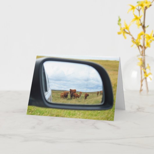 Carte Vaches dans le miroir (Fleur jaune)