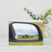 Carte Vaches dans le miroir (Debout devant)