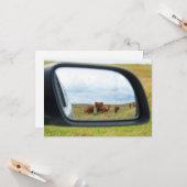 Carte Vaches dans le miroir (Devant/Arrière en situation)