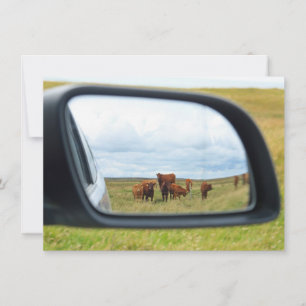 Carte Vaches dans le miroir